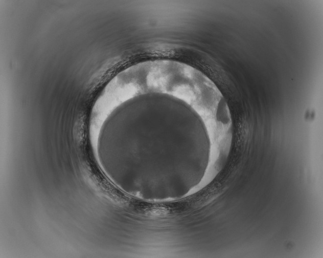 X0000114620600200911171059