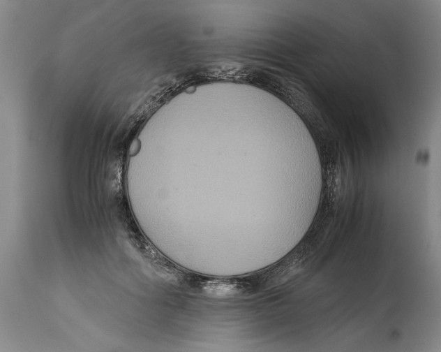 X0000114620602200911171059