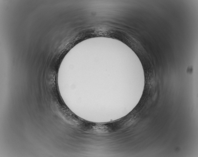 X0000114620603200911171059