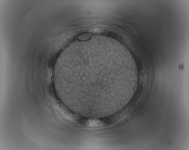 X0000114620605200911171059