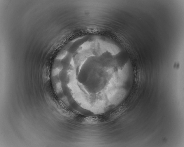 X0000114620606200911171059