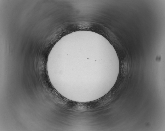 X0000114620608200911171059