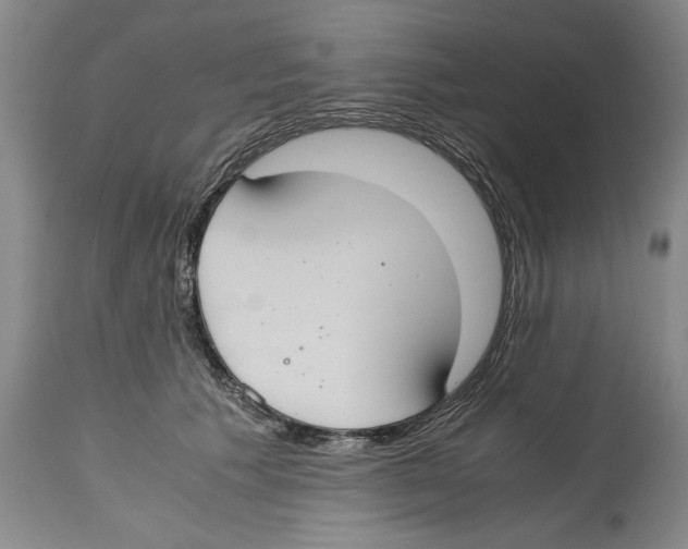 X0000114620609200911171059