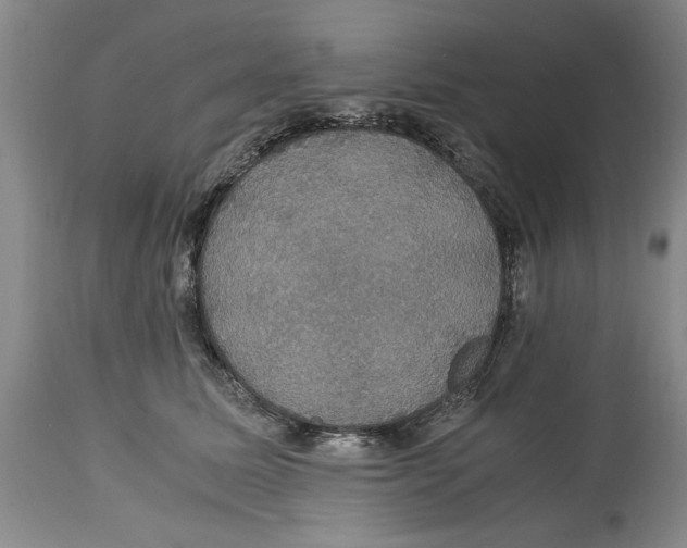 X0000114620611200911171059