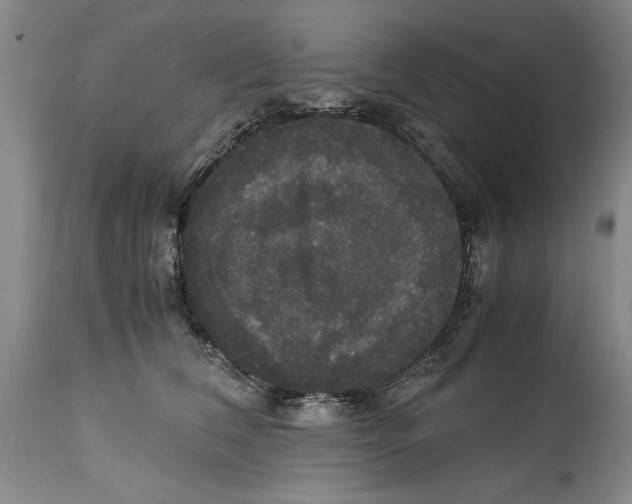 X0000114620612200911171059