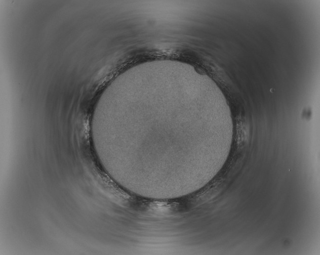 X0000114620613200911171059