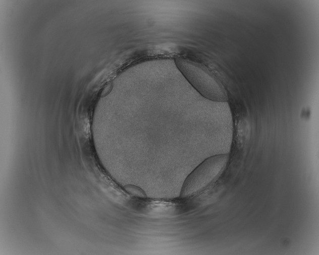 X0000114620617200911171059