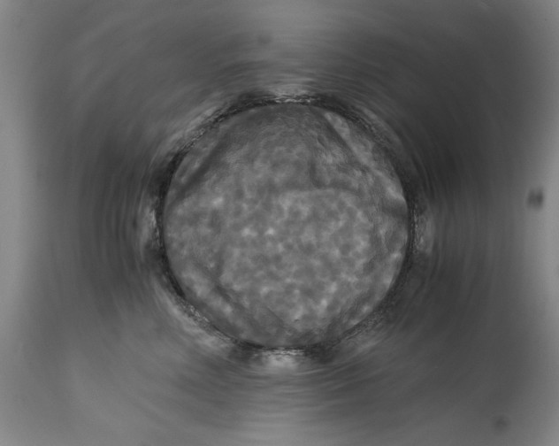 X0000114620618200911171059