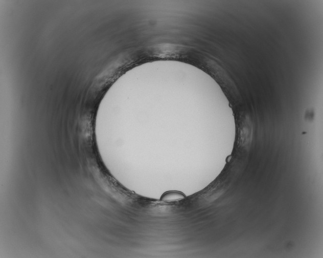 X0000114620620200911171059