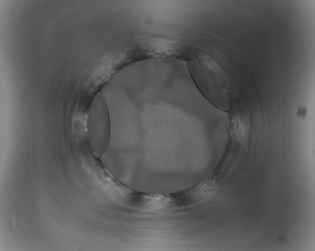 X0000114620621200911171059