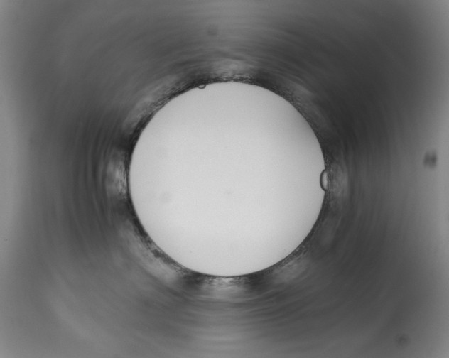 X0000114620622200911171059