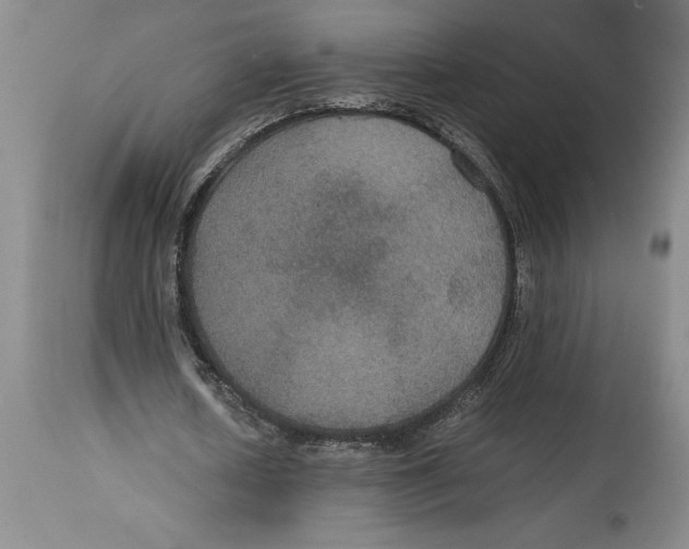 X0000114620626200911171058