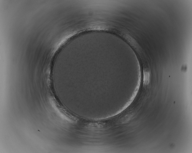 X0000114620627200911171058