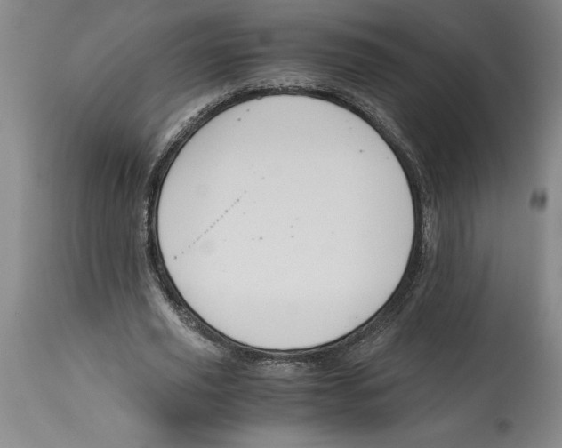 X0000114620629200911171058