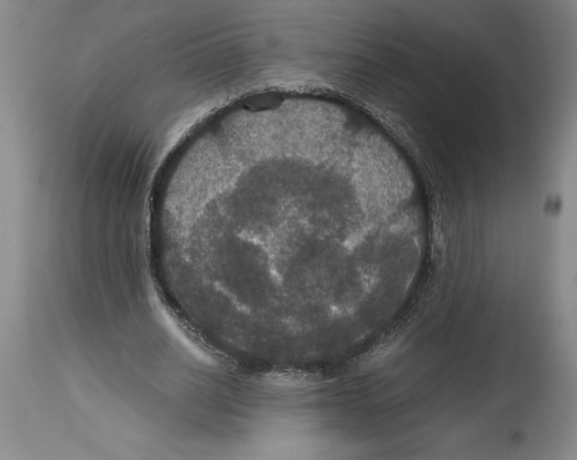 X0000114620630200911171058