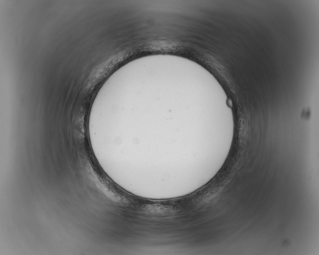 X0000114620633200911171058