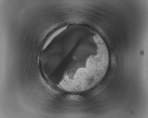 X0000114620637200911171058