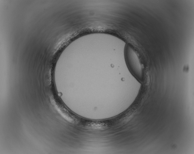 X0000114620638200911171058