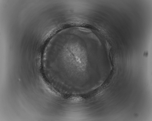 X0000114620642200911171058