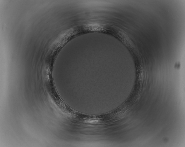 X0000114620643200911171058