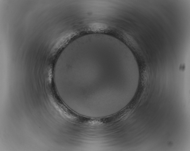 X0000114620644200911171058