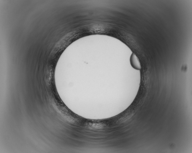 X0000114620645200911171058