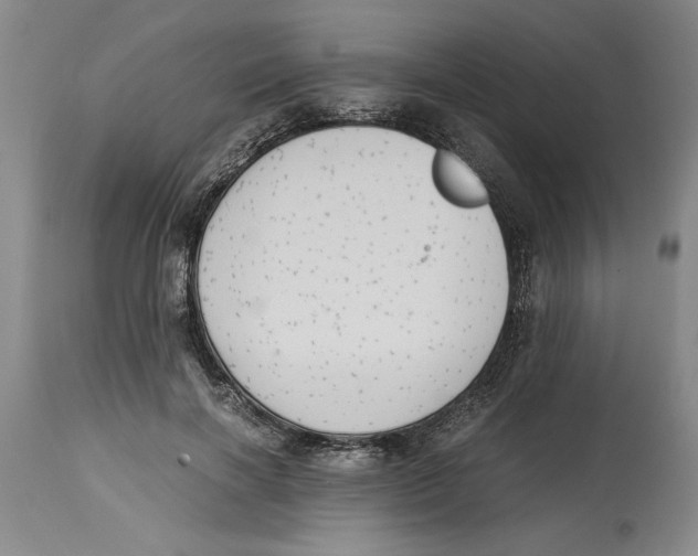 X0000114620646200911171058