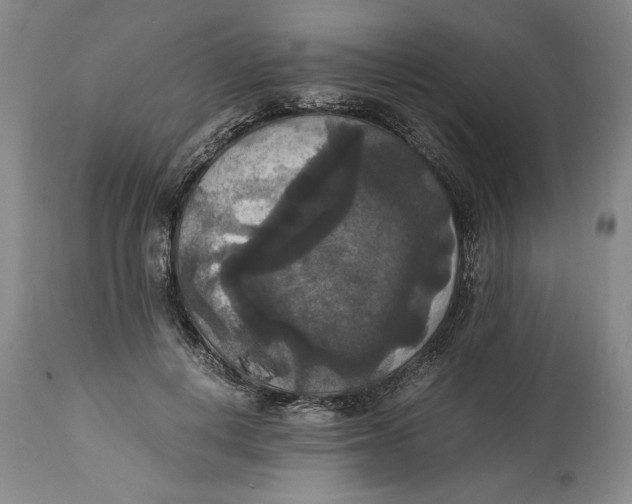 X0000114620648200911171058