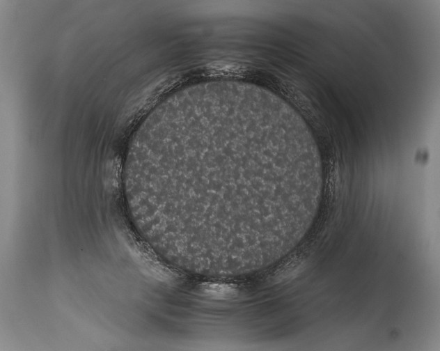 X0000114620649200911171058