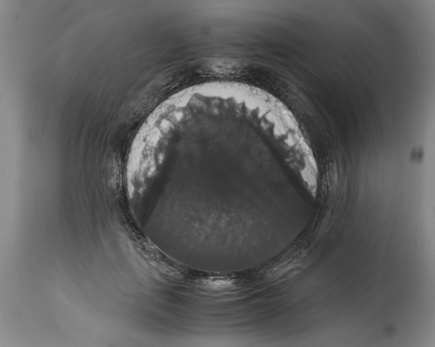 X0000114620651200911171058