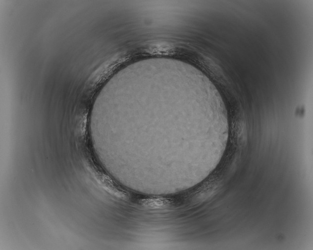 X0000114620652200911171058