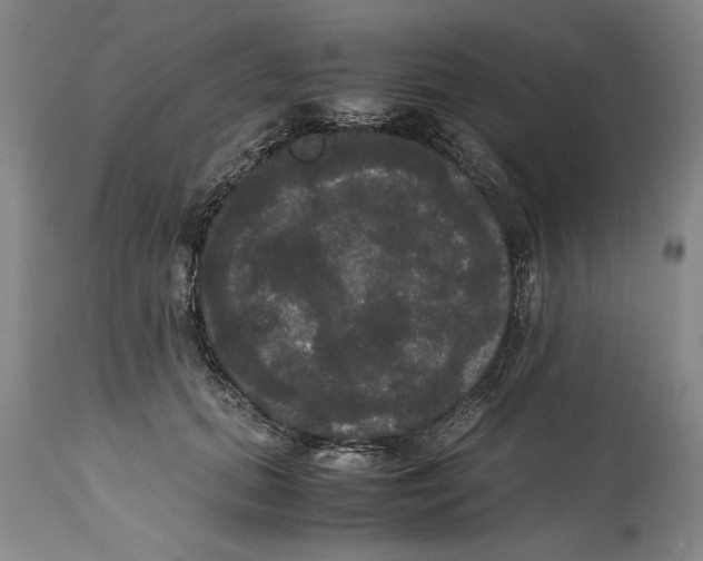 X0000114620655200911171058