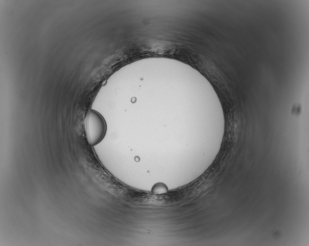 X0000114620656200911171058