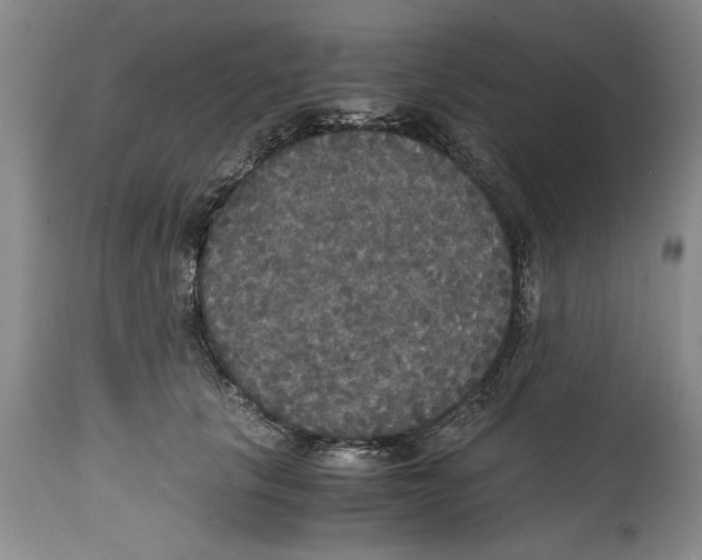 X0000114620657200911171058