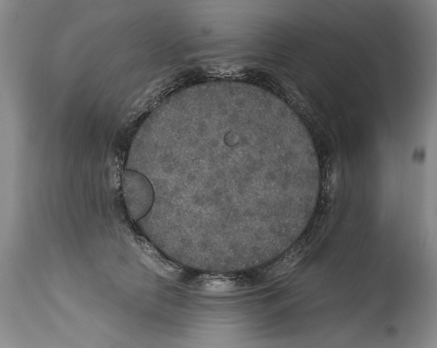 X0000114620658200911171058