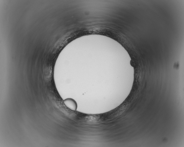 X0000114620660200911171058