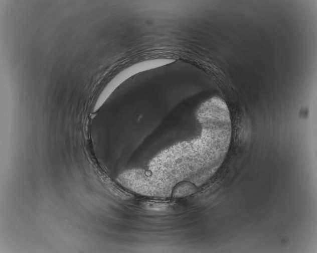 X0000114620661200911171058