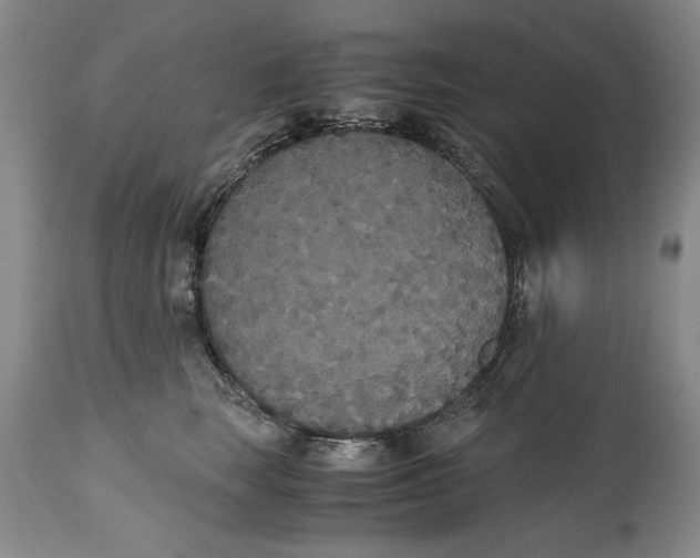 X0000114620663200911171058