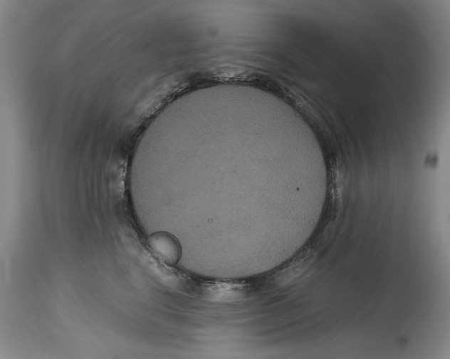 X0000114620664200911171058