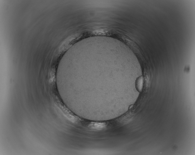 X0000114620665200911171058