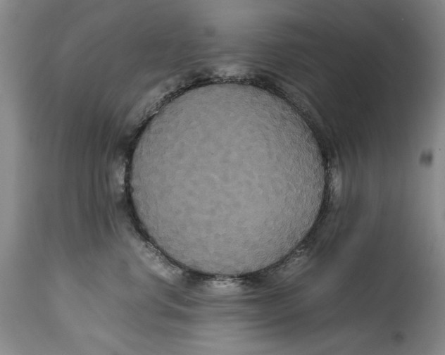 X0000114620668200911171058