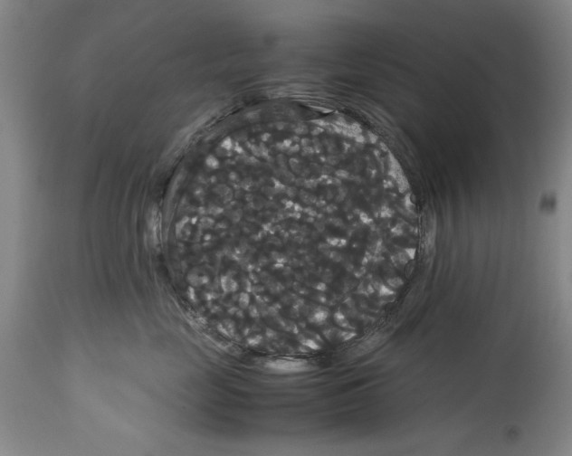 X0000114620669200911171058