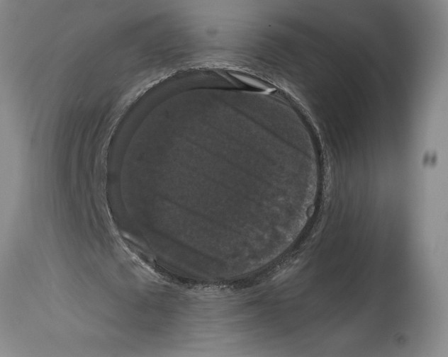 X0000114620673200911171058