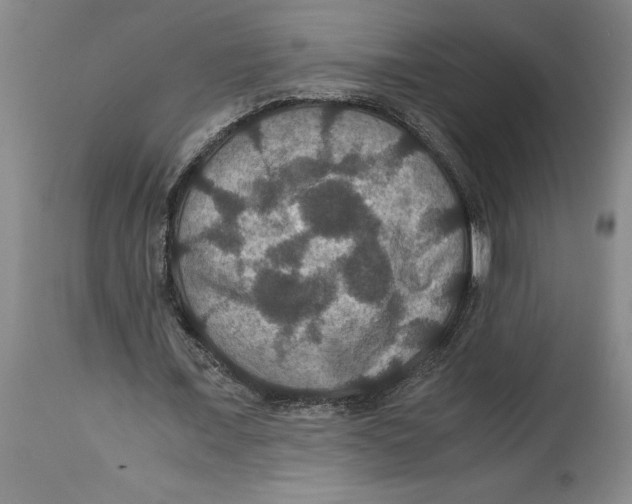 X0000114620675200911171058