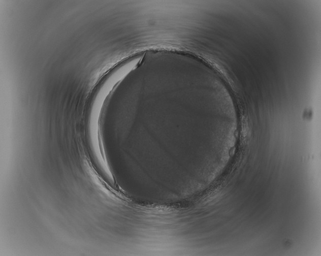 X0000114620677200911171058