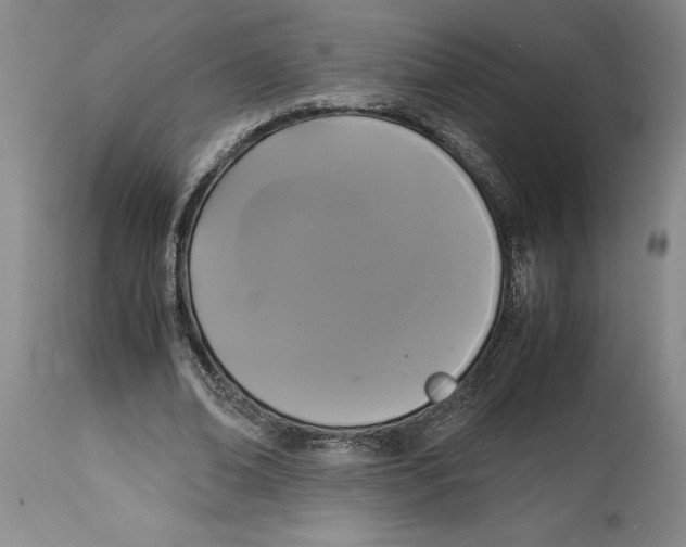 X0000114620678200911171058