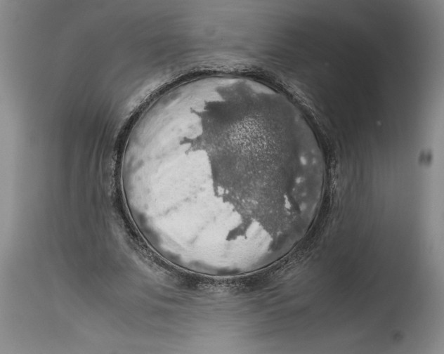 X0000114620679200911171058