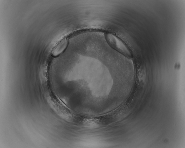 X0000114620680200911171058