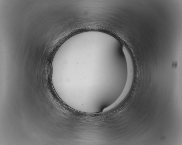 X0000114620681200911171058