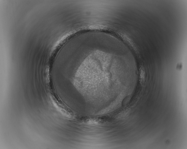 X0000114620684200911171058